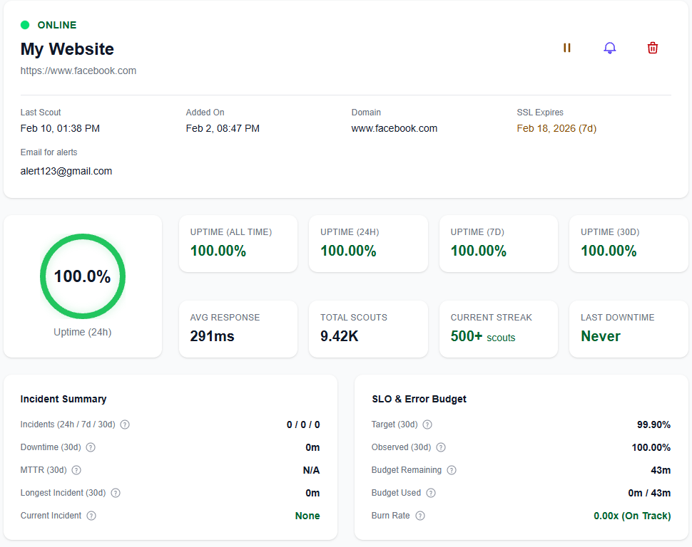 PingScouter dashboard preview in light theme